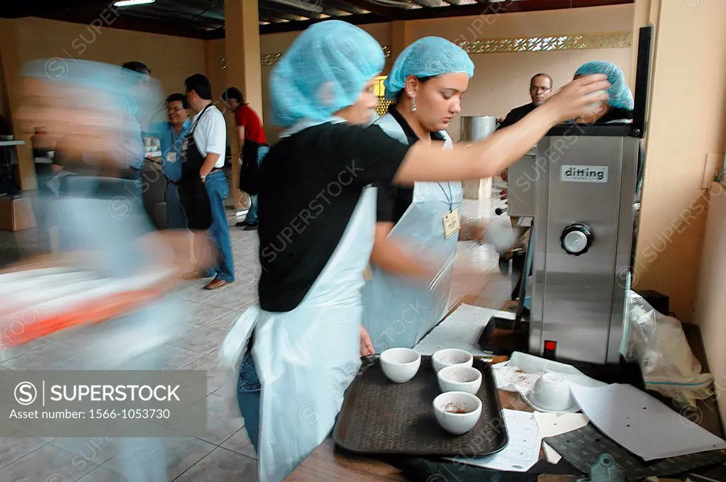 Boquete Panama: waitresses serving coffee to professional sniffers’ during the Feria de las Flores y el Cafe Flowers and Coffee Fair