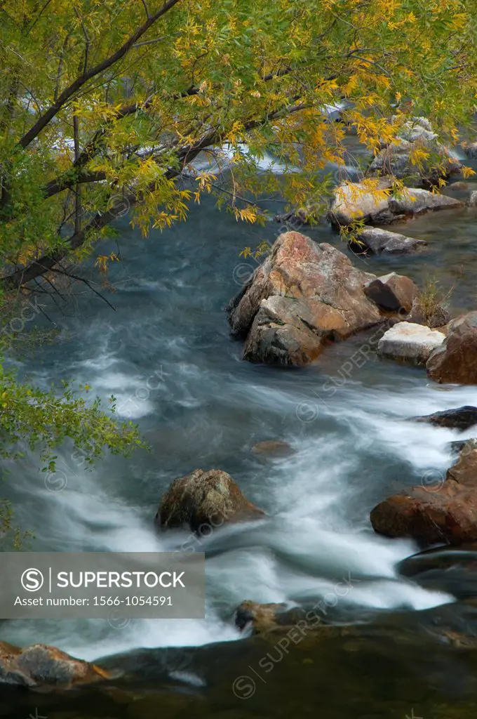 Kern Wild and Scenic River on River Trail, Sequoia National Forest, California