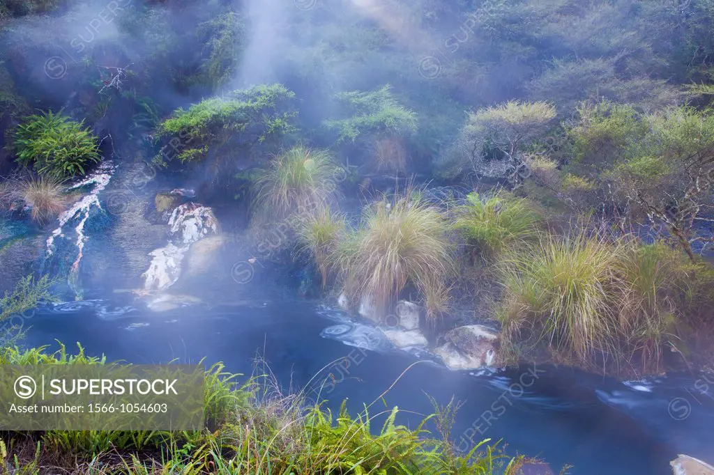 Waimangu Volcanic Valley, North Island, New Zealand