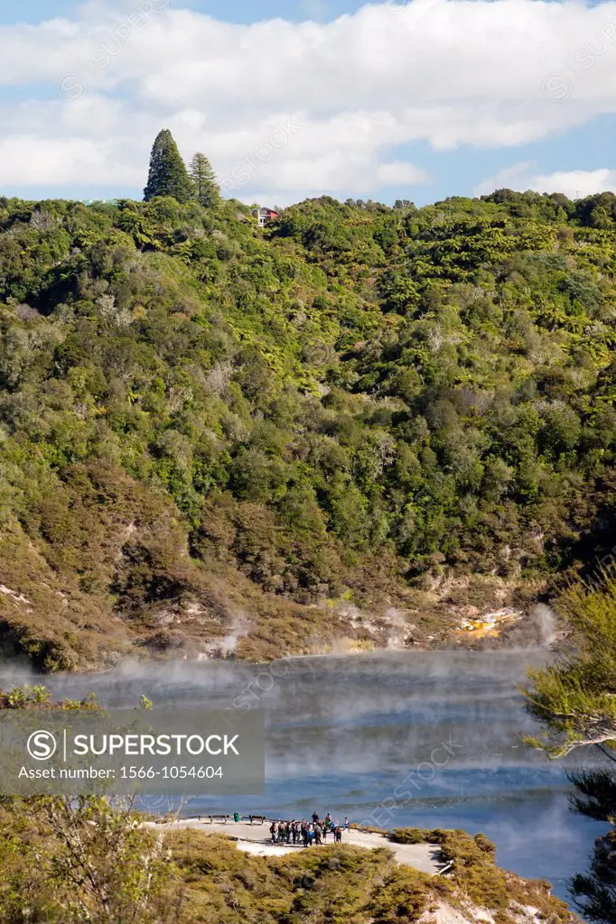 Echo Crater and Frying pan lake, Waimangu Volcanic Valley, North Island, New Zealand