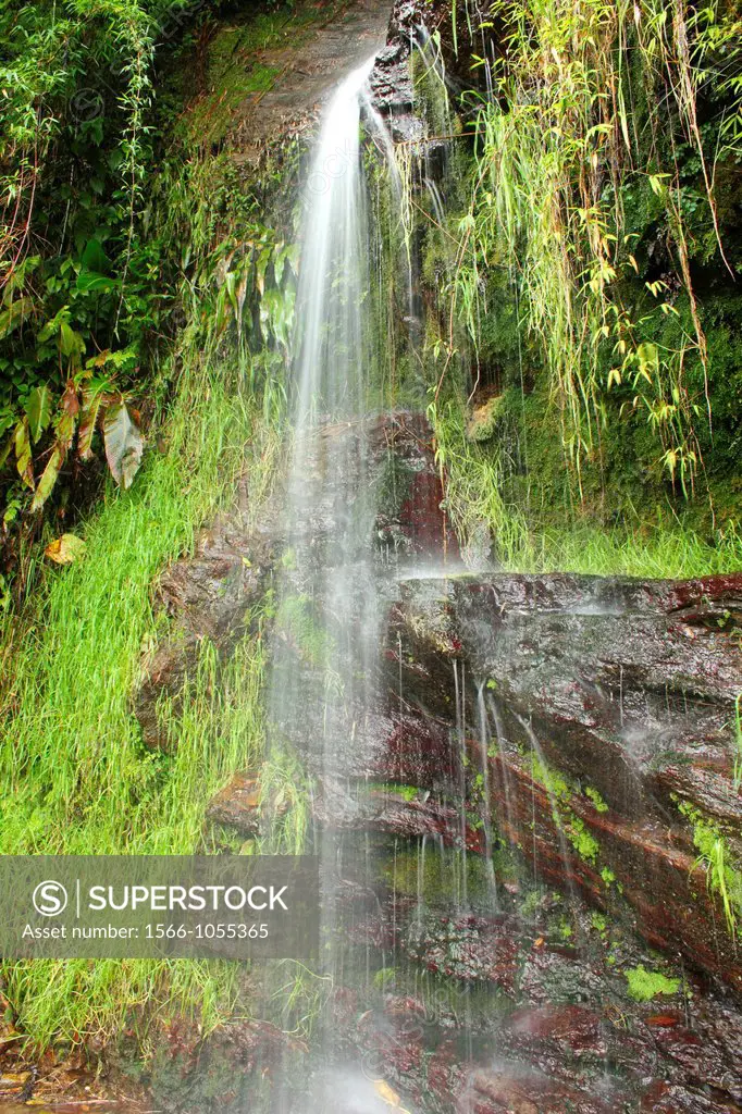 Waterfall, El Avila National Park, Caracas, Venezuela