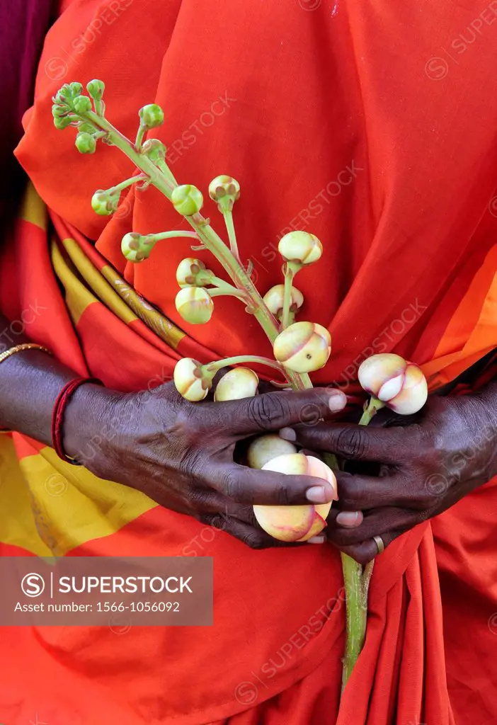 Hands with flowers in South India,India,Asia