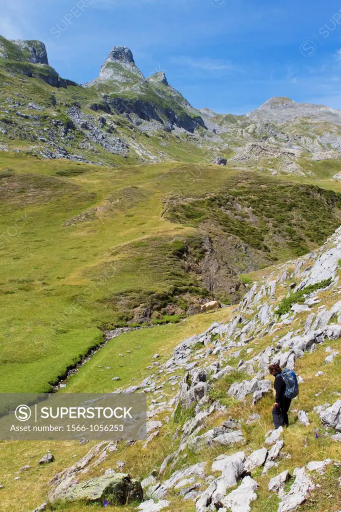 Mountaineer walking in National Park des Pyrenees, in Bearn province  Atlantics Pyrenees  Aquitania, France  Europe
