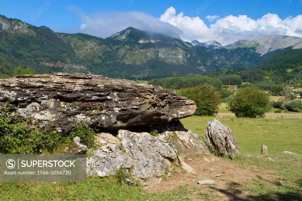 Arrako dolmen, in Rincón de Belagua  Isaba  Ronca Valley  Navarra  Spain  Europe
