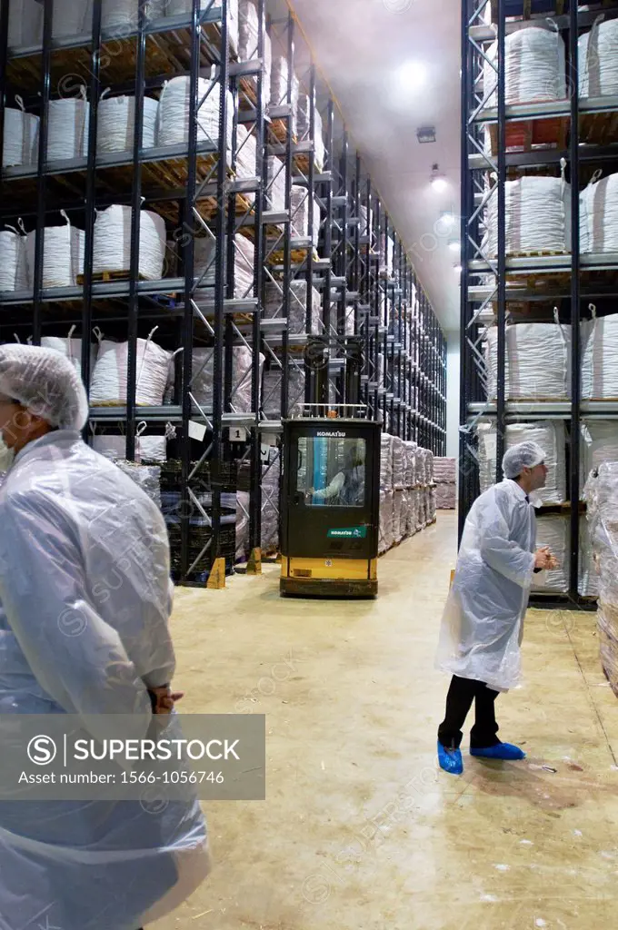 -Tuna´s Stocks- Industries of Tuna, Spain