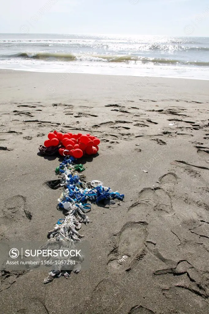 bunch of balloons washed up on coast by sea