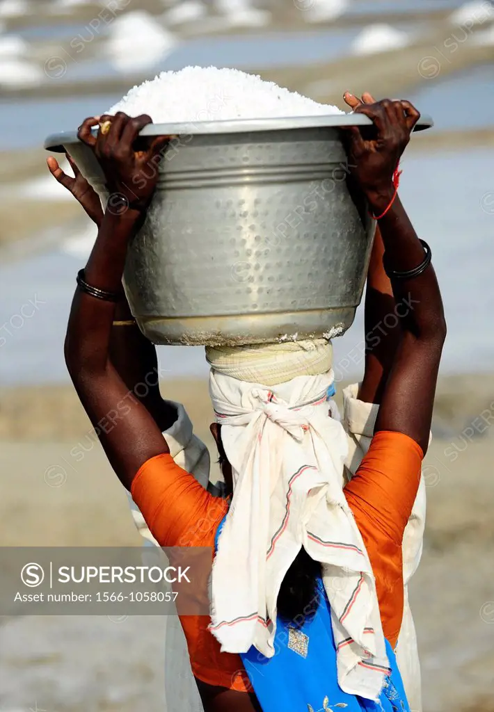 Worker woman in a salt pan ,Tamil Nadu, South India,India,Asia