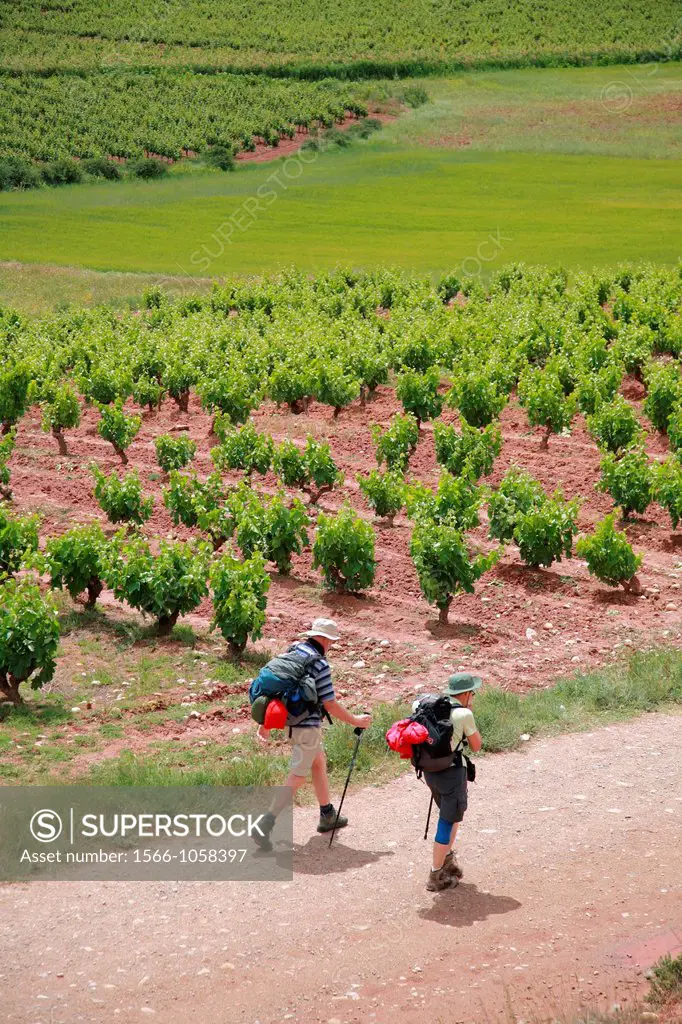 Santiago way near Najera, Rioja Wine region, Spain, Europe