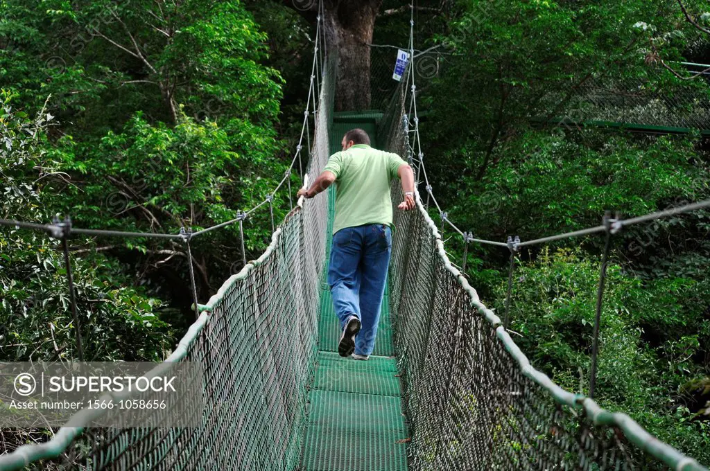 Hanging bridge in the forest by Buena Vista Lodge, near Liberia, Guanacaste Costa Rica    