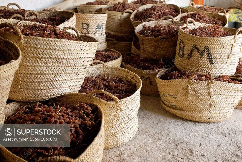 Dried Moscatel grapes in baskets, Lliber, Alicante, Spain