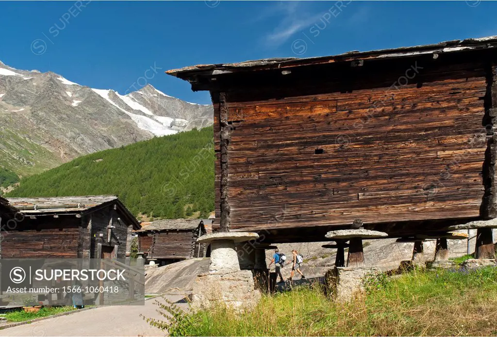 stone plates - protection of agricultural harvest stored in these traditional storehouses against rodents, Swiss Alps, Saas Fee, canton Valais, canton...