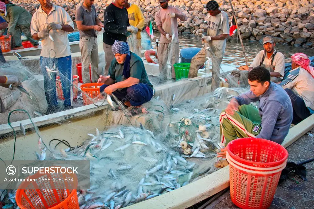 Fishers at Souq sharq harbour, kuwait city