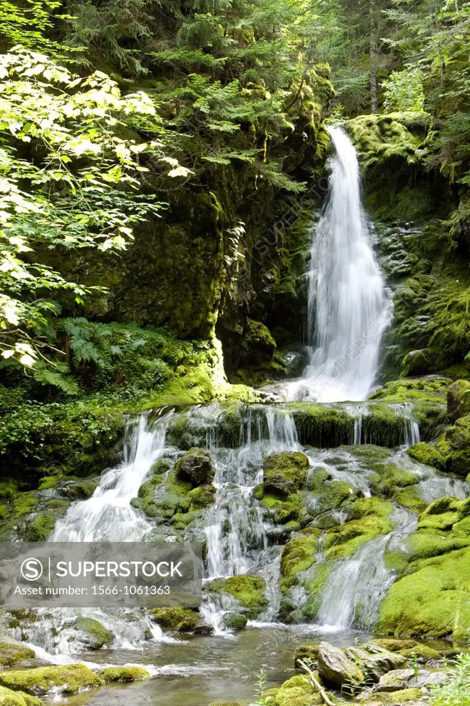 Dickson falls is located within the Bay of Fundy National Park just off Point Wolfe Road It´s a short 1 5 km hike through wooden stairs and boardwalks...