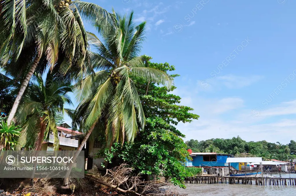 Bocas del Toro Panama: Isla Bastimentos  