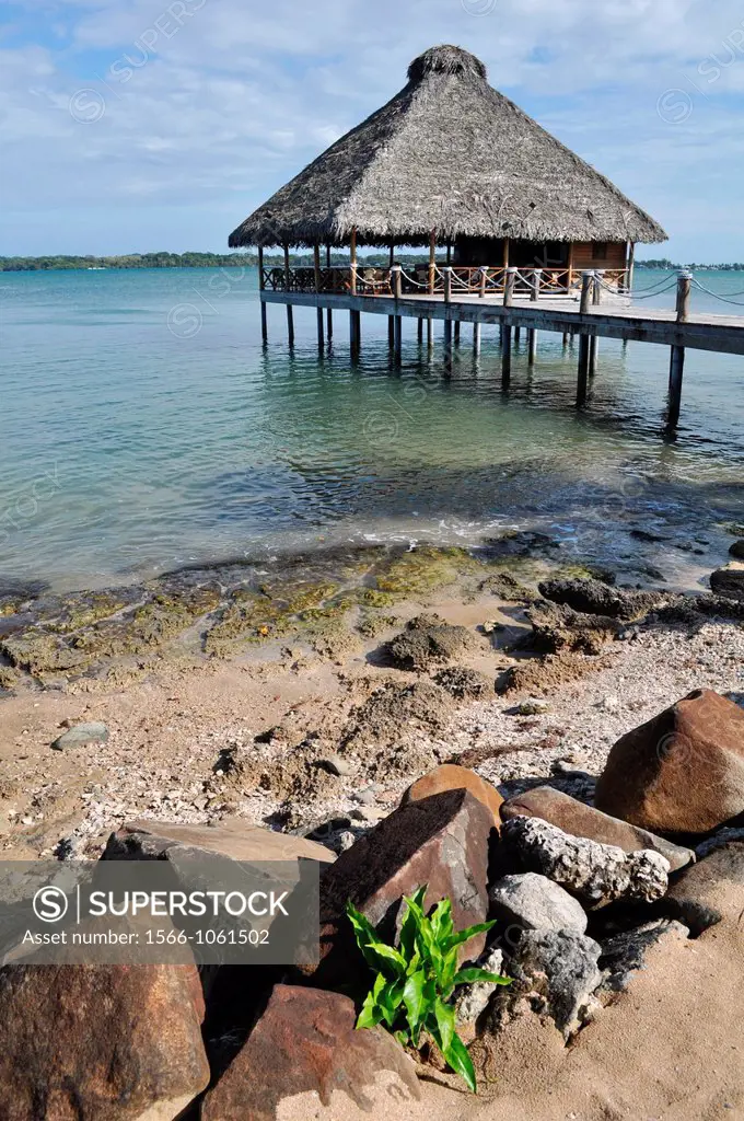 Bocas del Toro Panama: Playa Tortuga Beach Resort  