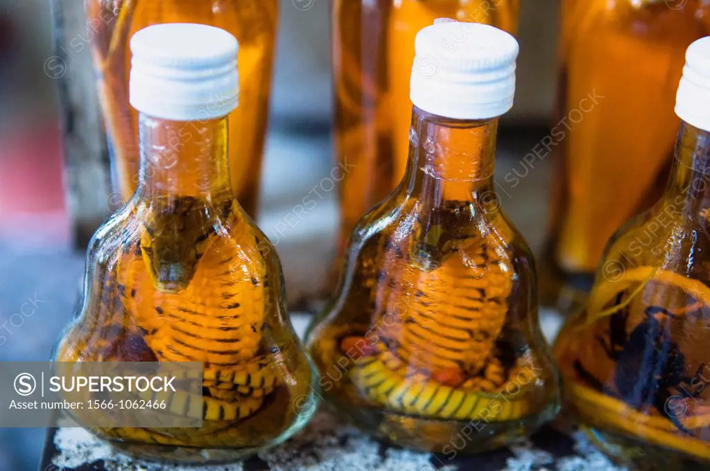 Snake / scorpions wine / liquor is very popular in south china and Indochina  Vietnam, Laos   locals believe the drinks is good for the health and goo...