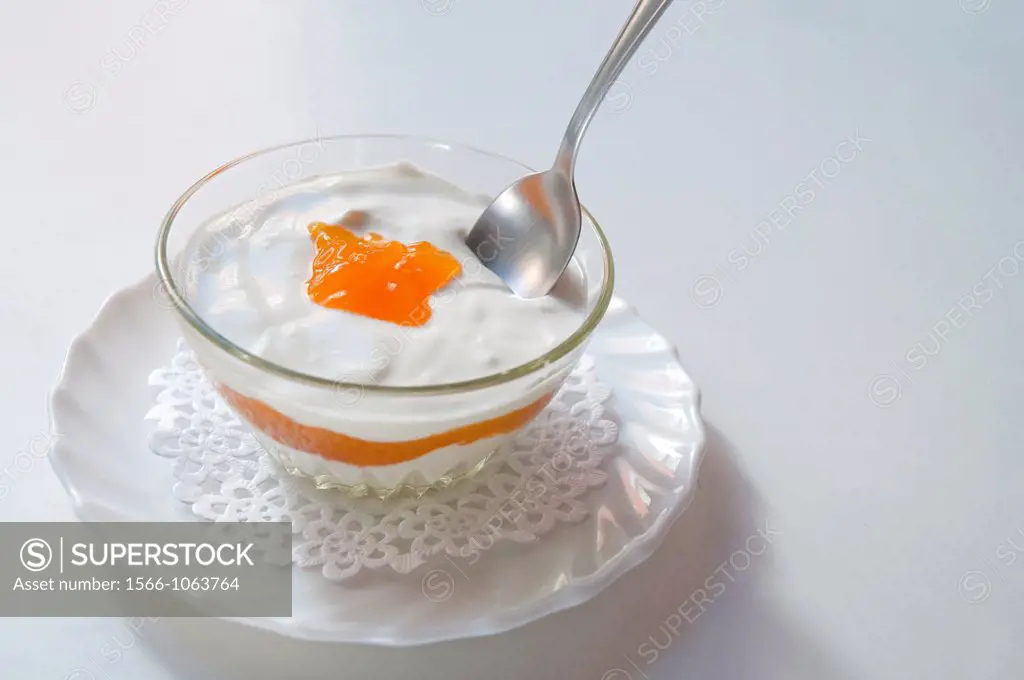 Yoghurt dessert