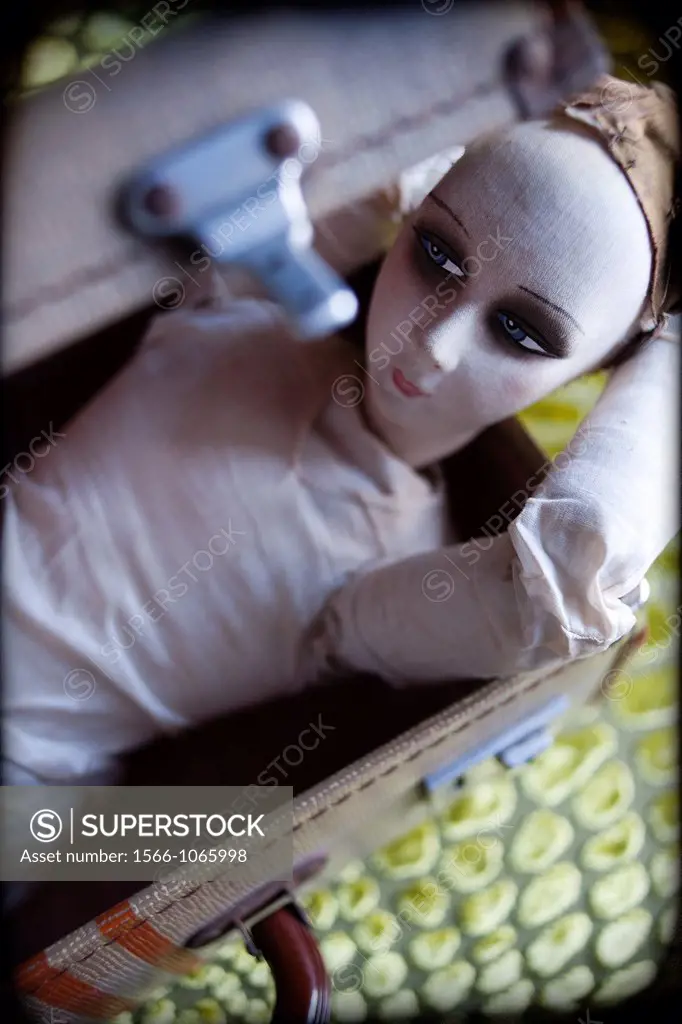 Rag doll relaxed trapped in a suitcase,