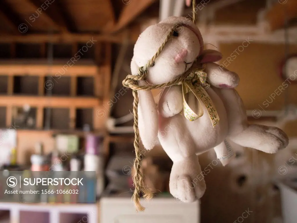 Buny toy hung by noose in garage as a parking indicator to stop inside of a foreclosed home in Fresno, California, United States