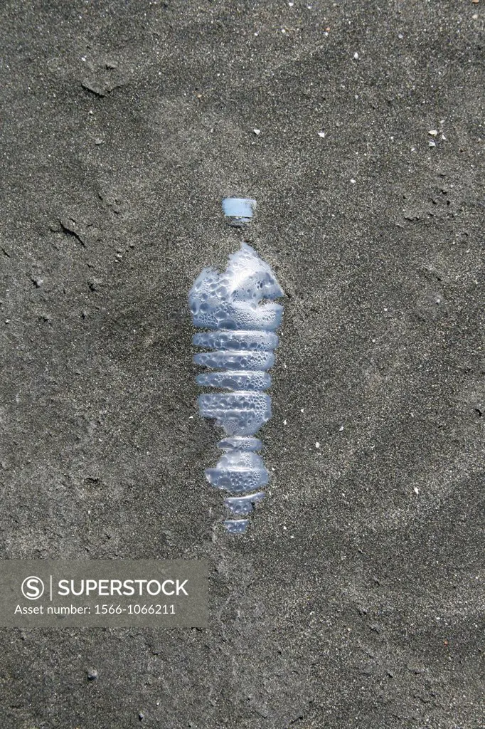 one plastic water bottle covered with sand on beach