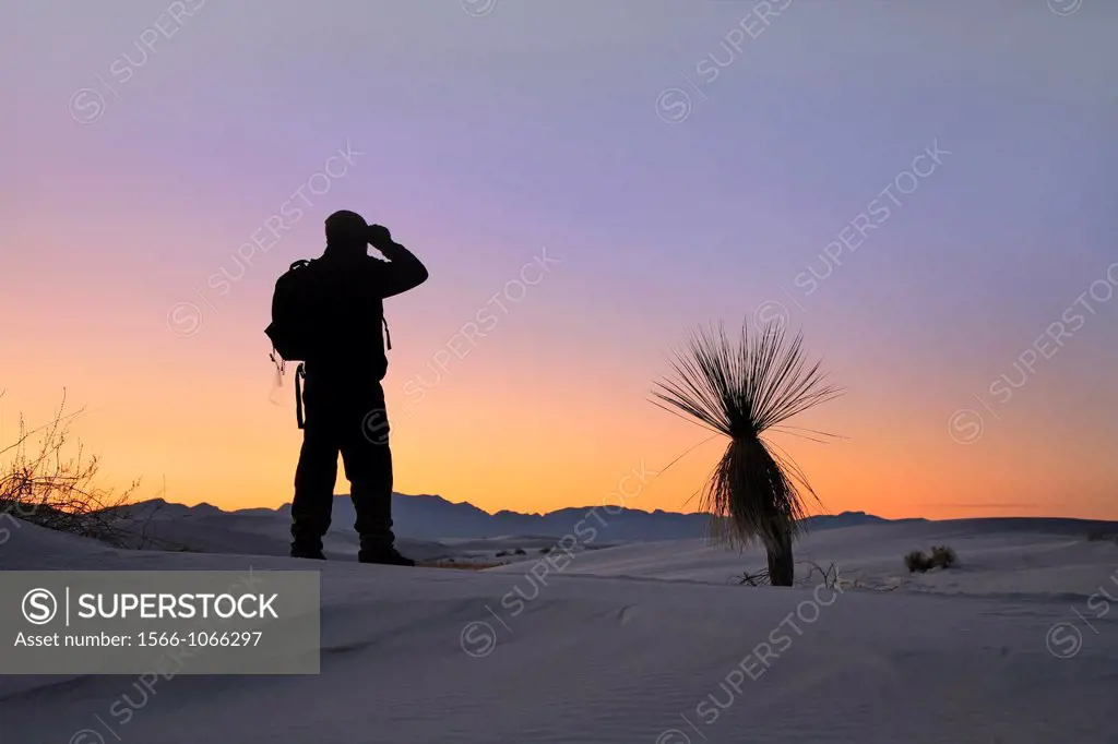 White Sands National Monument, Alamogordo, New Mexico, USA
