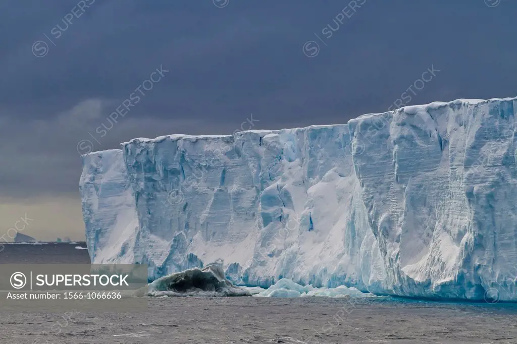Tabular icebergs in and around the Weddell Sea during the summer months, Antarctica, Southern Ocean
