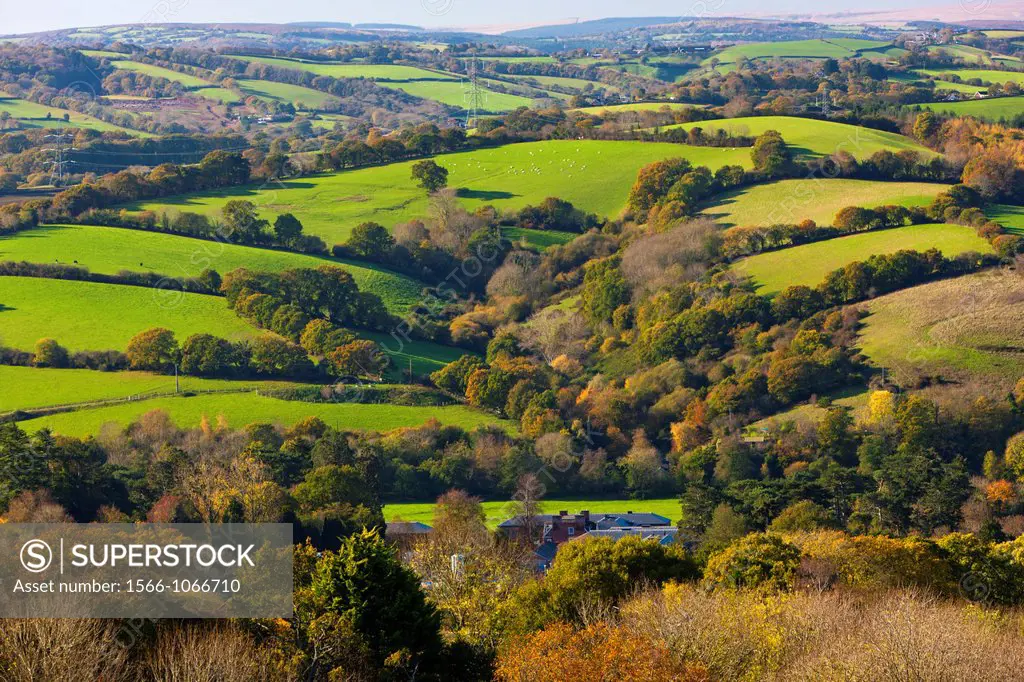 The rolling hills of the Devon countryside
