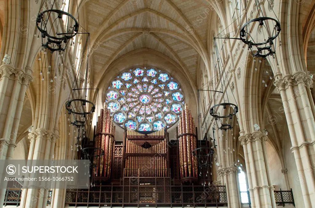 Rose window and the organ of Arundel Cathedral, West Sussex, UK