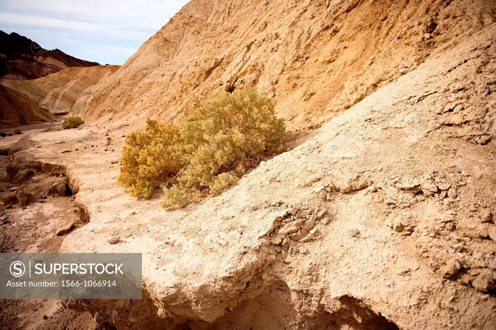 Desolate Death Valley landscapes
