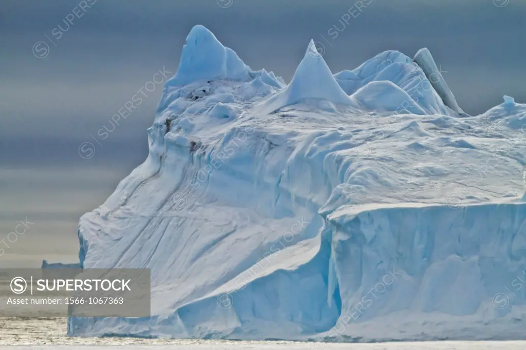 Tabular icebergs in and around the Weddell Sea during the summer months, Antarctica, Southern Ocean