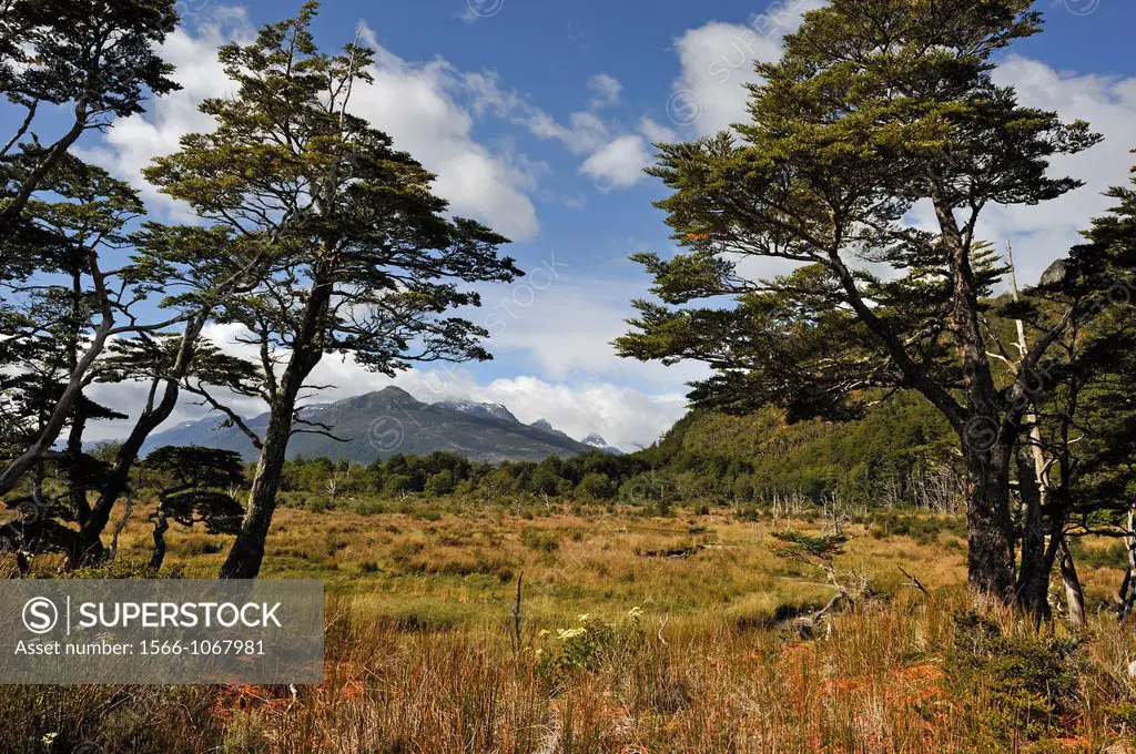 Ainsworth Bay, Alberto de Agostini National Park, Tierra del Fuego, Patagonia, Chile, South America