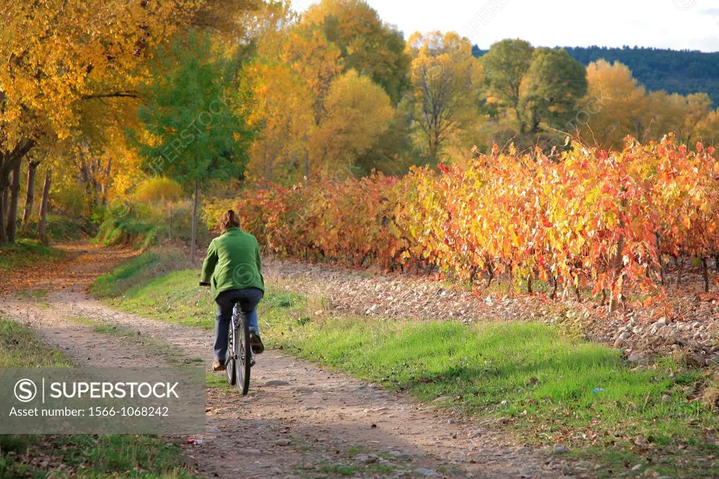 Enjoying Rioja landscape cycling at autumn season, La Rioja, Spain, Europe