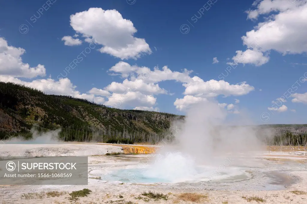 Spouter Geyser, Black Sand Basin, Yellowstone NP, Wyoming, USA