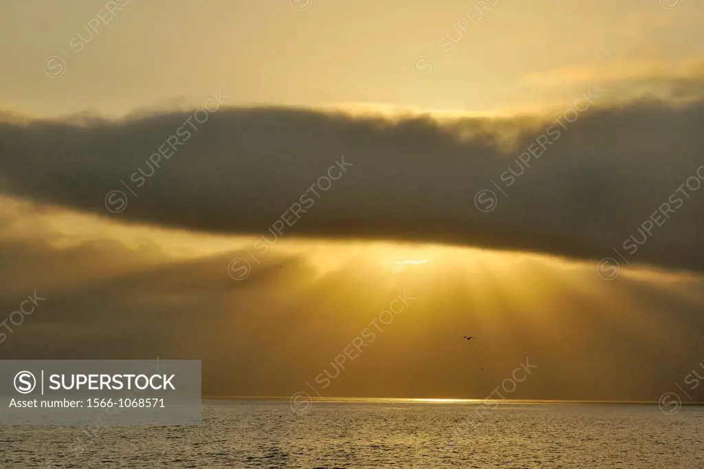 Morning sunbeams over the Inside Passage, near Port Hardy, BC, Canada