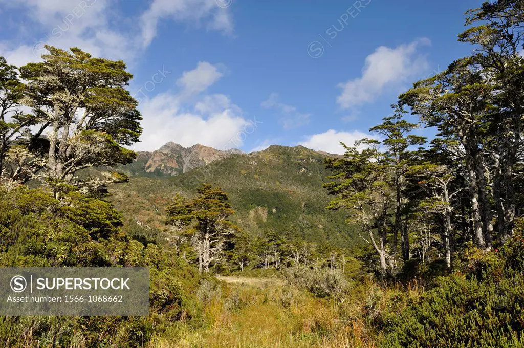 Ainsworth Bay, Alberto de Agostini National Park, Tierra del Fuego, Patagonia, Chile, South America