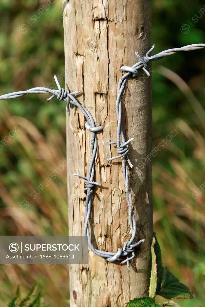 close up detail of barbed wire fence in country