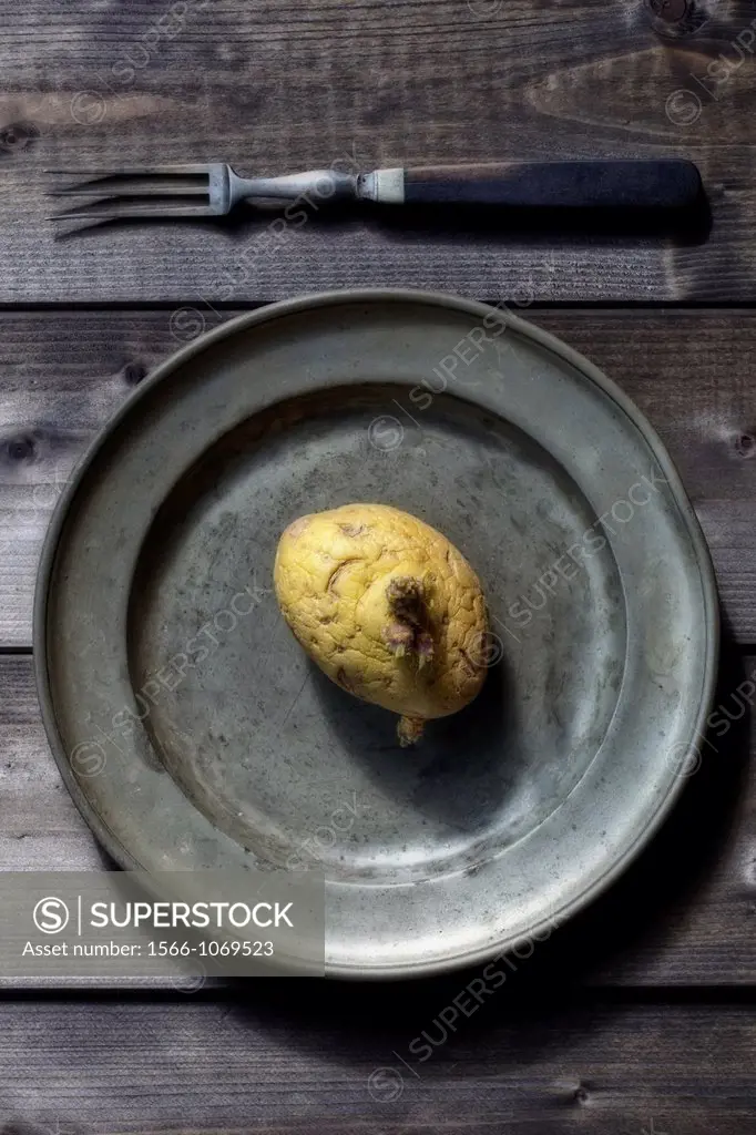 old, shriveled potatoes with sprouts on antique plate with fork