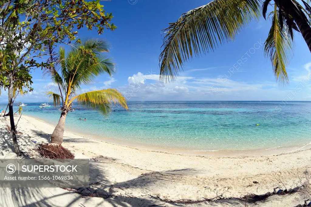 Landscape of the beach of Malapascua Island, Philippines