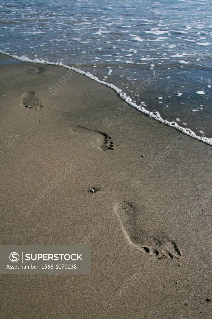 person´s footprints in sand on beach coast by sea
