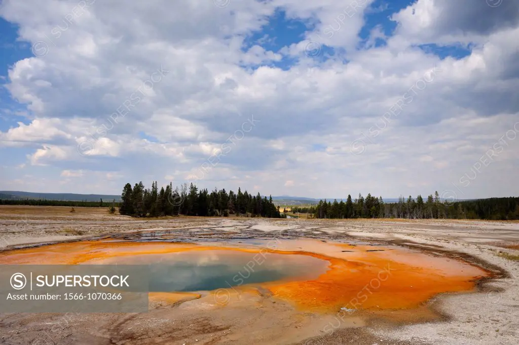 Midway Geyser Basin- Algae colonies at Grand Prismatic Spring, Yellowstone NP, Wyoming, USA