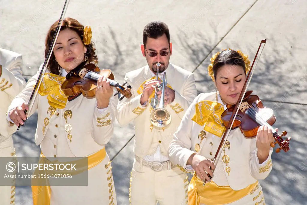 Wearing traditional costume, Mariachi musicians of both sexes play violin and trumpet in Tucson, AZ  Mariachi is a genre of music that originated in t...