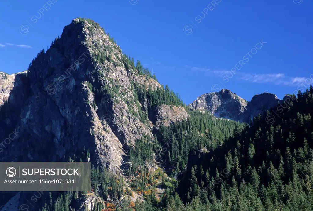 Snoqualmie Pass view, Mt Baker-Snoqualmie National Forest, Washington