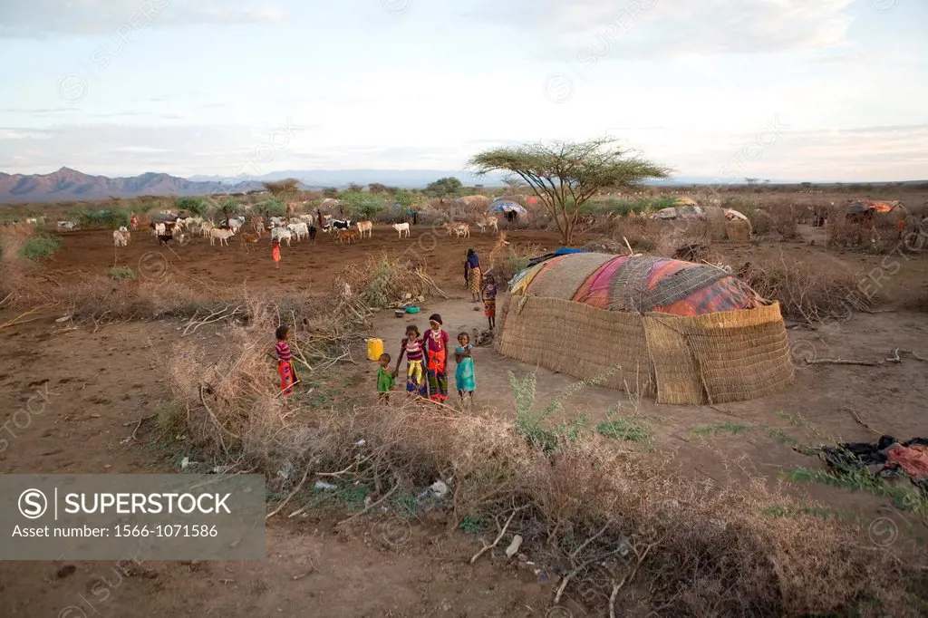 The Afari Northern Etiopie were originally nomads and live in very primitive huts made of straw, twigs and a piece of plastic living conditions are ha...