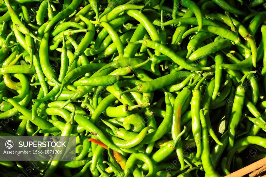 Hot green peppers for sale, Tamil Nadu,South India,Asia