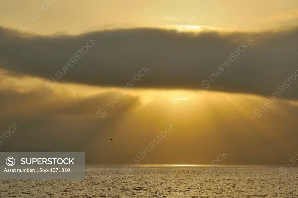 Morning sunbeams over the Inside Passage, near Port Hardy, BC, Canada