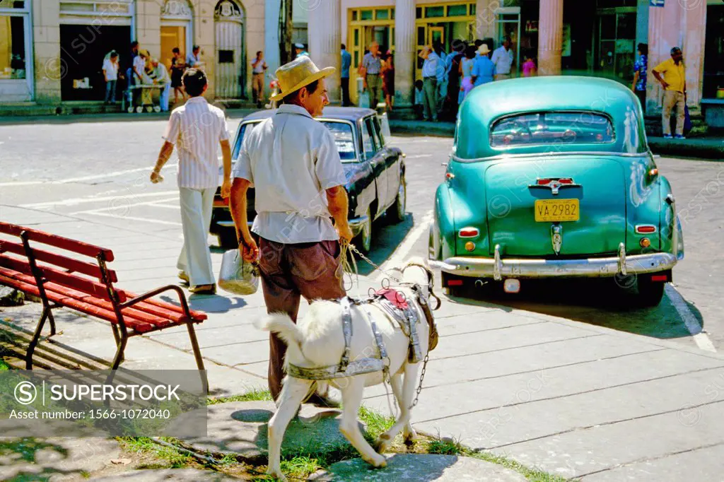 Havana Contrast