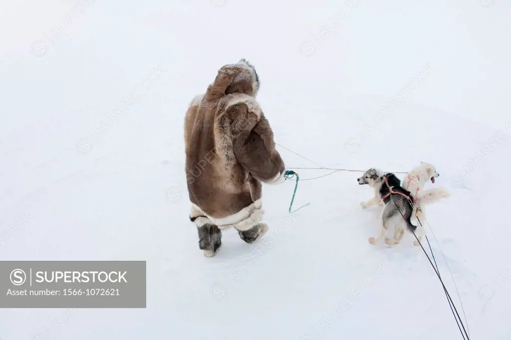 Gojahaven is a town in the far north of canada where 1000 IInuits are living Dogsledge is a traditional way of transport for the Inuits Howevere, it i...