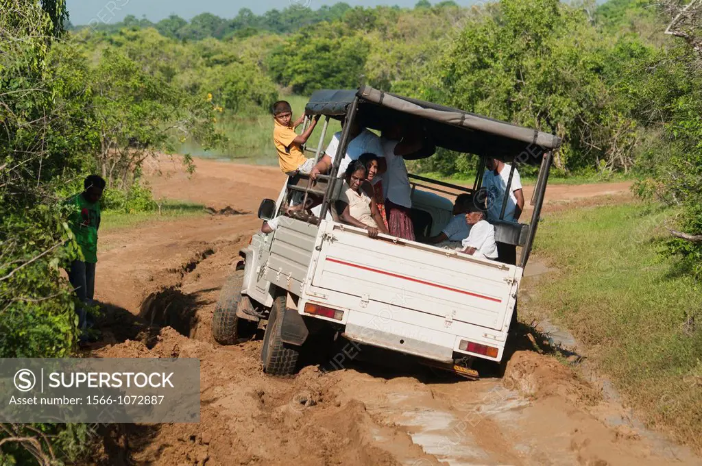 jeep stuck in the mud in Yala National Park, Sri Lanka