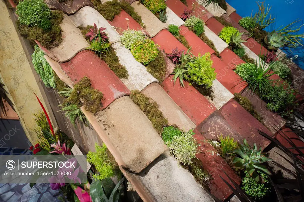 A simulation of a roof in Rio de Janeiro in Brazil, filled with bromeliads, in the annual Macy´s Flower Show in Herald Square in New York The show, wh...