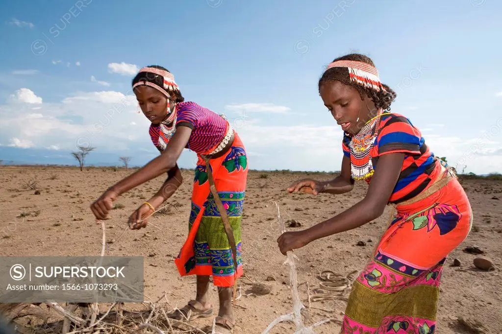 Ethiopian girls collect firewood for cooking Due to global warming and change in climate, there are less trees and therefore less firewood available